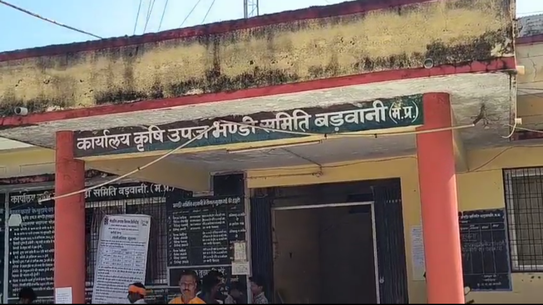 🌾🚜 विरोध के बाद बढ़े कपास के दाम: बड़वानी मंडी में किसानों का हंगामा, सुविधाओं के अभाव पर भी जताई नाराजगी